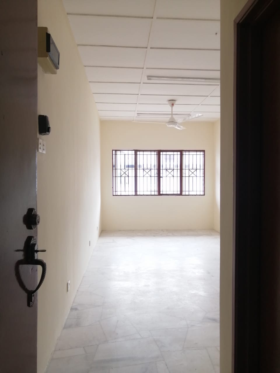 latest property